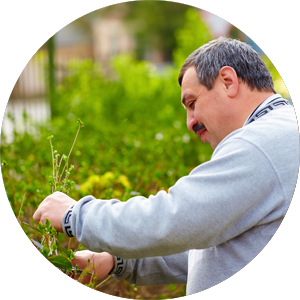 Man clipping a bush, Microbusiness